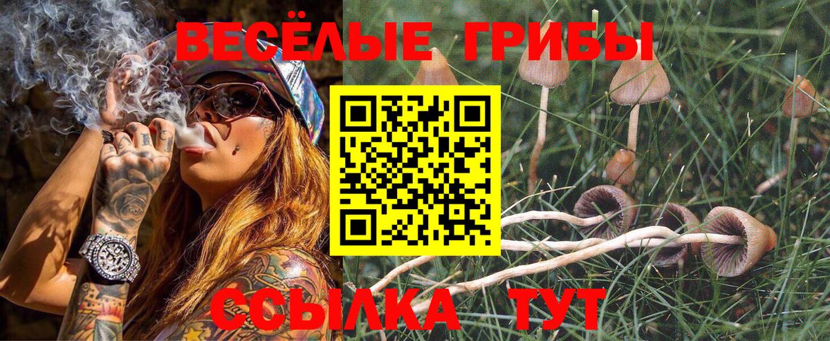 Елабуга  Галлюциногенные грибы ЛСД  где купить наркоту  Вход с VPN 