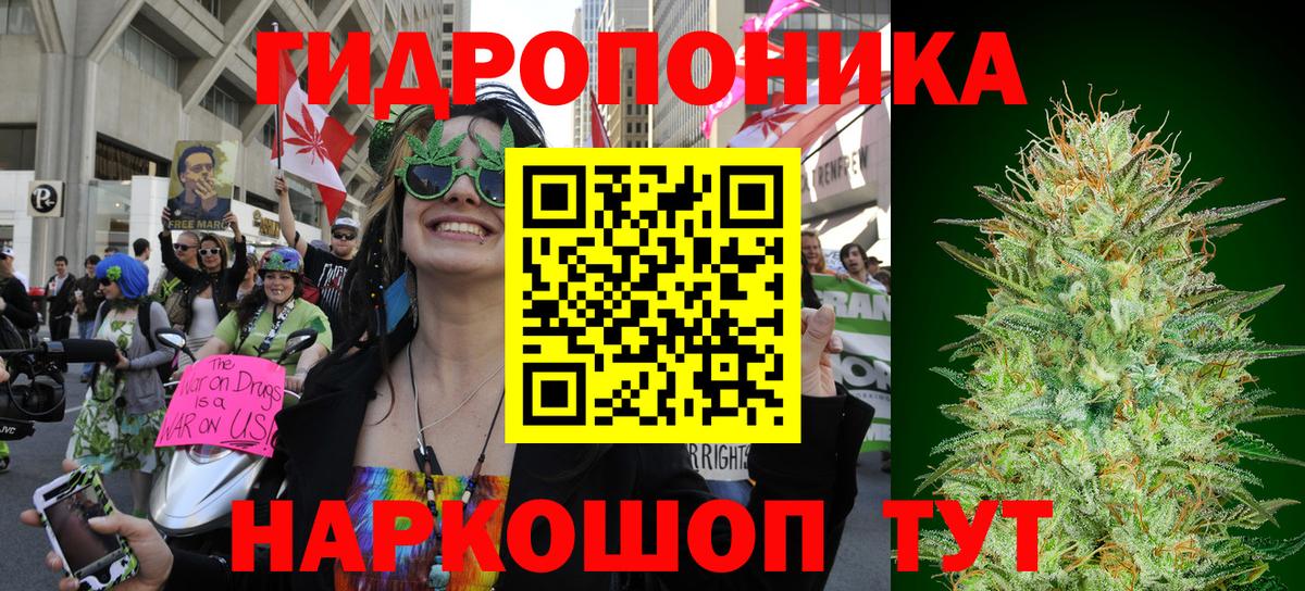 Елабуга  Бошки Шишки семена  Бошки Шишки ГИДРОПОН  Бошки Шишки Bruce Banner  Вход с VPN 